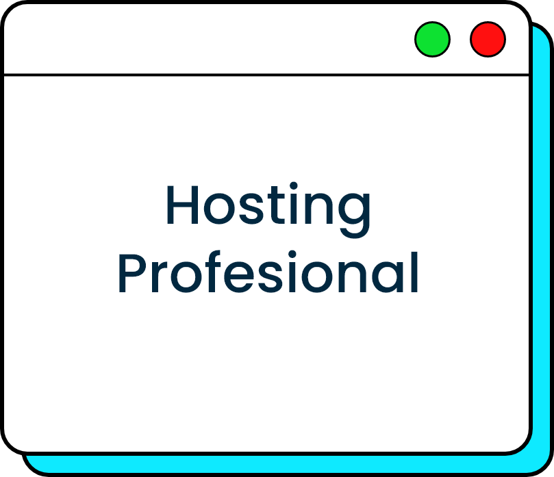 Hosting profesional